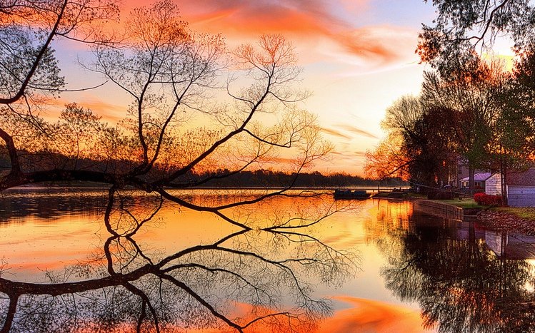 Reflection Theme screenshot #4