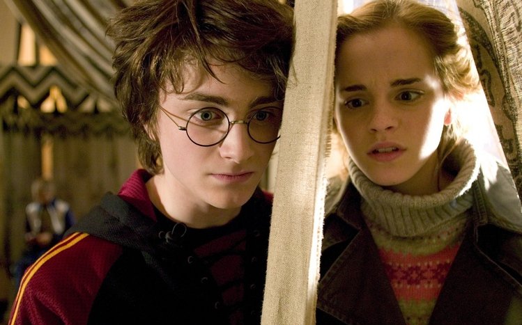 Hermione Granger Theme screenshot #5