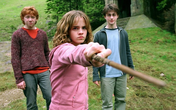 Hermione Granger Theme screenshot #4