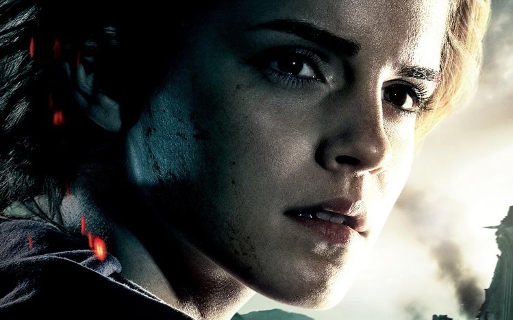 Hermione Granger Theme screenshot #2