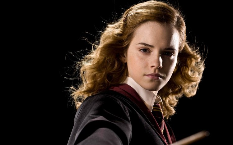 Hermione Granger Theme screenshot #3