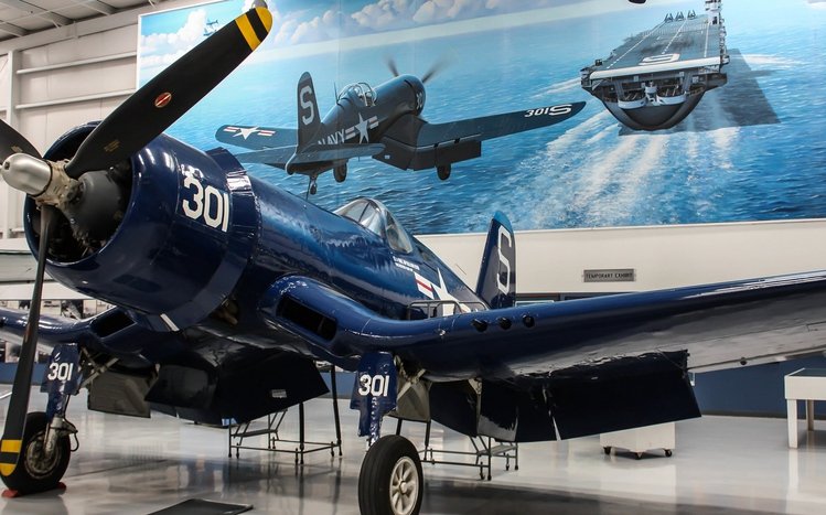 Military Aircraft Theme screenshot #13