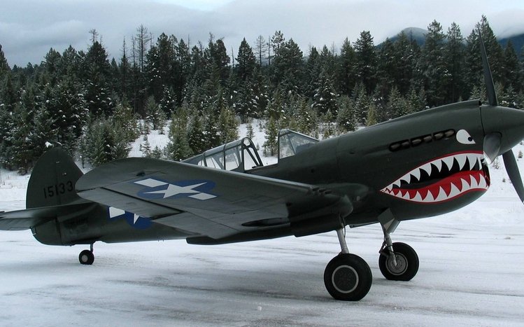 Military Aircraft Theme screenshot #15