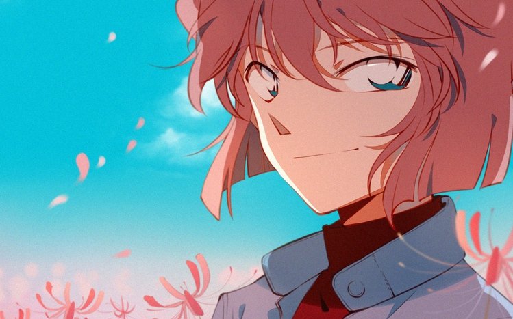 Detective Conan Theme screenshot #2