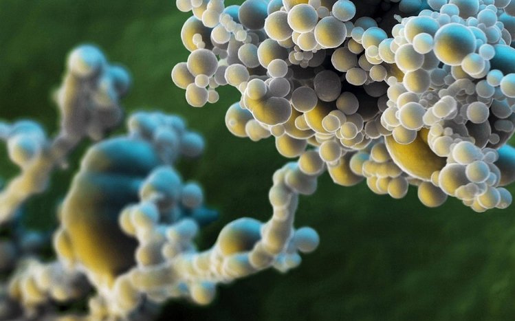 Chemistry Theme screenshot #10