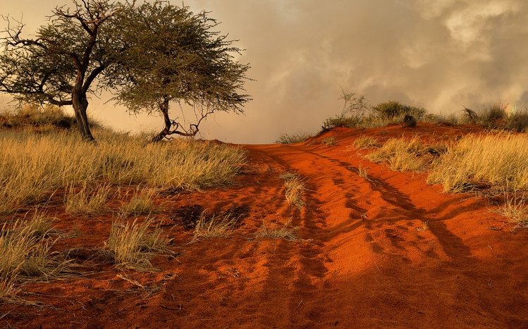 Africa  Theme screenshot #12