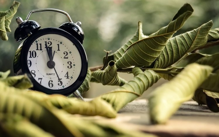 Clock Theme screenshot #10