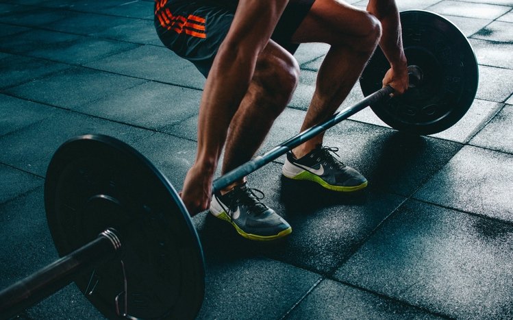 Gym Theme screenshot #7