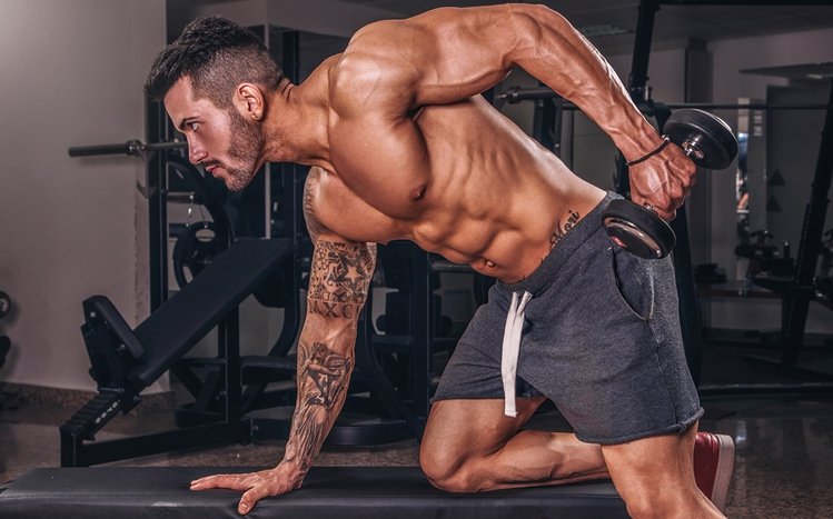 Gym Theme screenshot #4