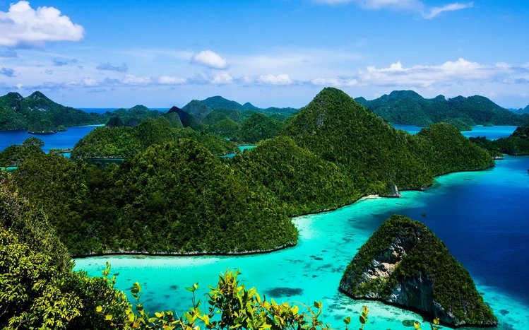 Indonesia Theme screenshot #7