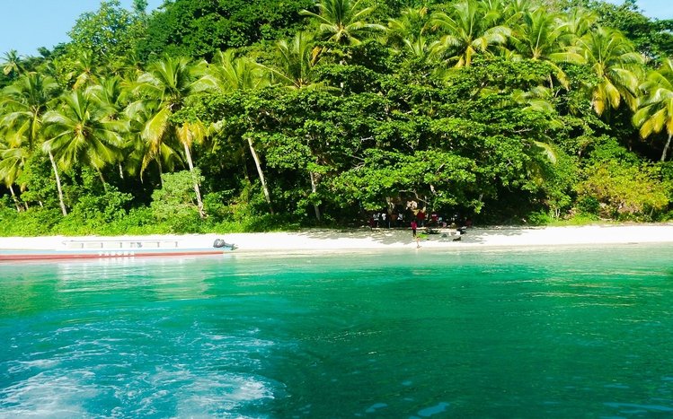 Indonesia Theme screenshot #4