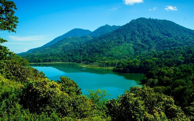 Indonesia Theme screenshot #5