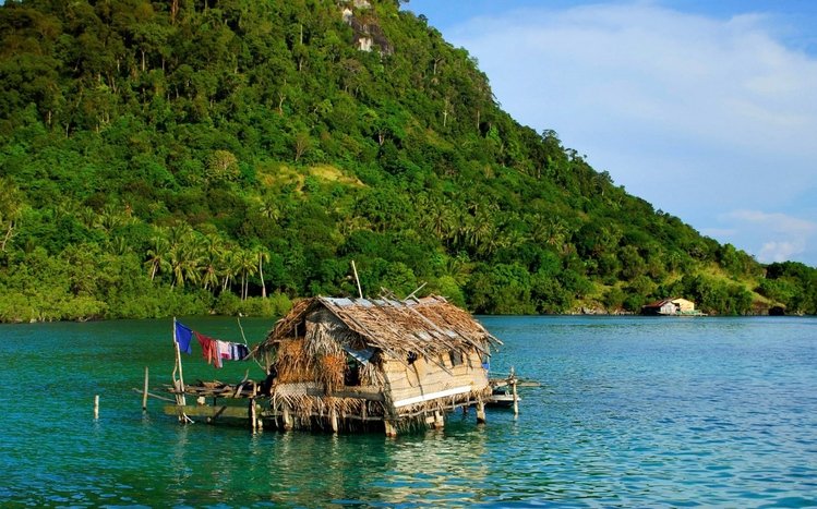 Indonesia Theme screenshot #15