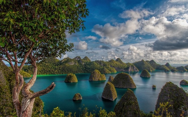 Indonesia Theme screenshot #3