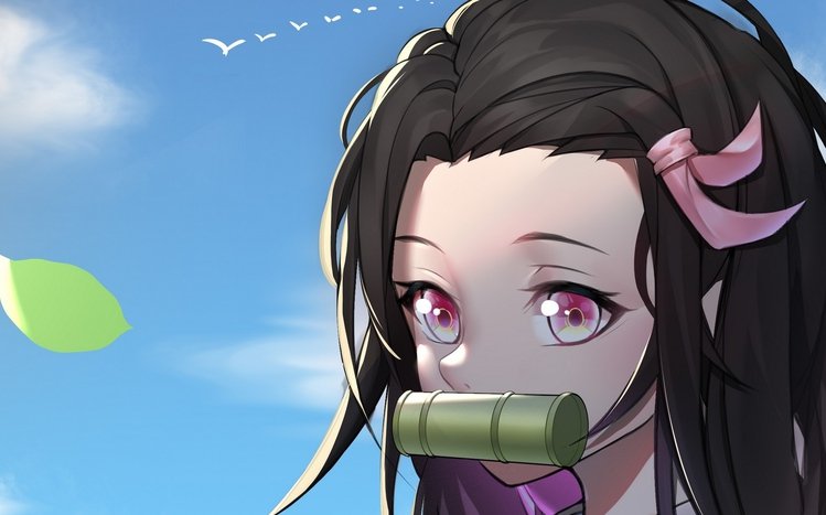 Nezuko Kamado Theme screenshot #9