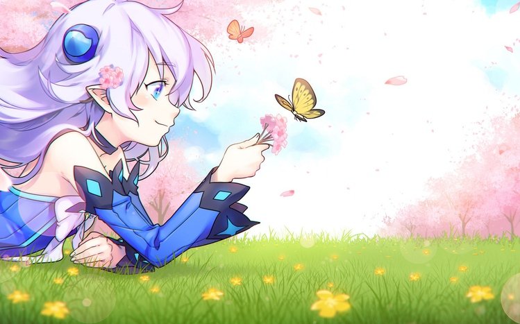 Elsword Theme screenshot #3