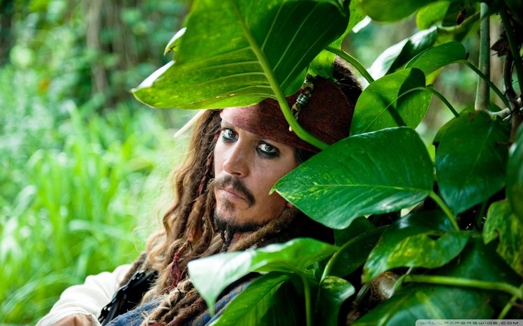 Pirates of the Carribean - On Stranger Tides Theme screenshot #4