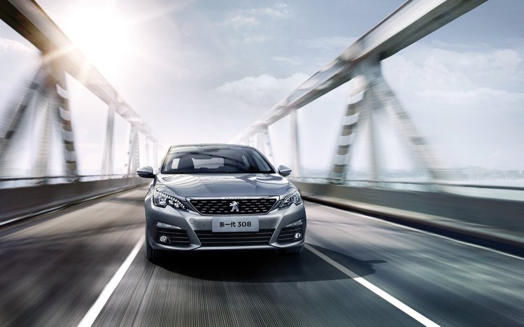 Peugeot Theme screenshot #6