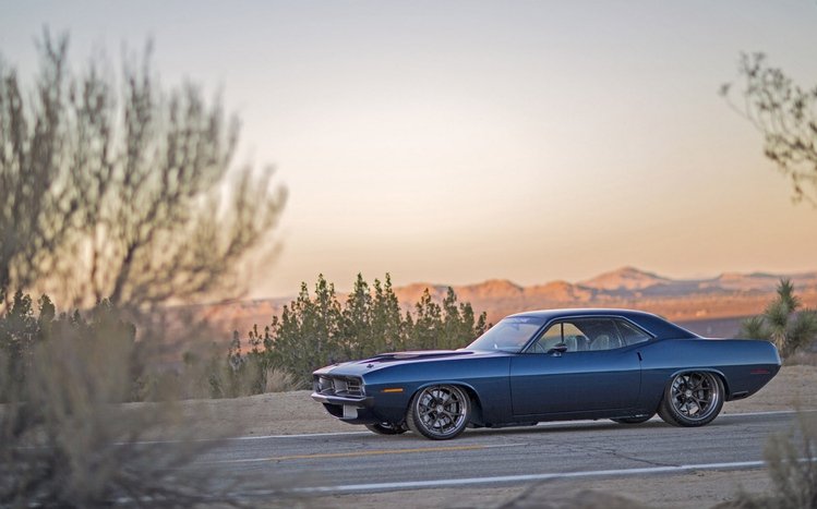 Plymouth Theme screenshot #11