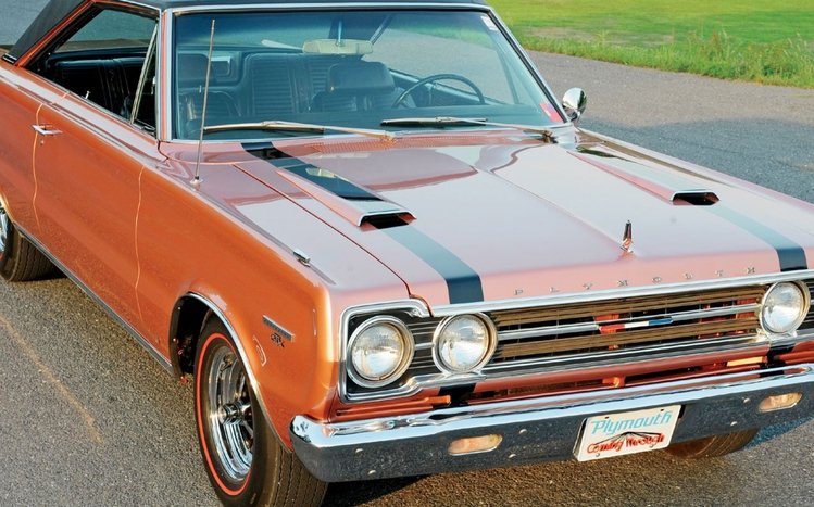 Plymouth Theme screenshot #14