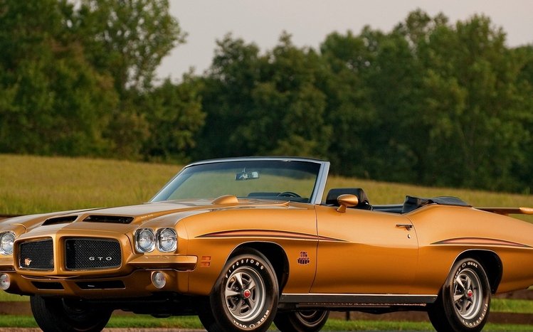 Pontiac Theme screenshot #3