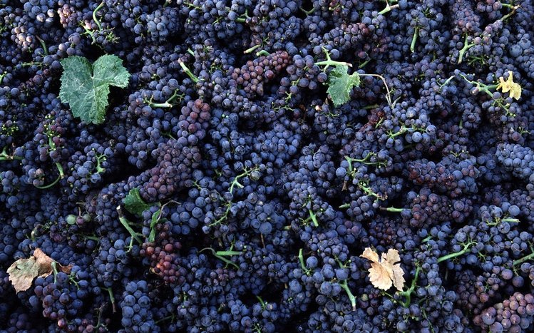 Grapes Theme screenshot #5