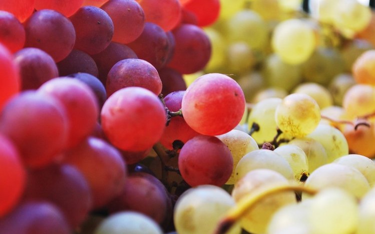 Grapes Theme screenshot #9