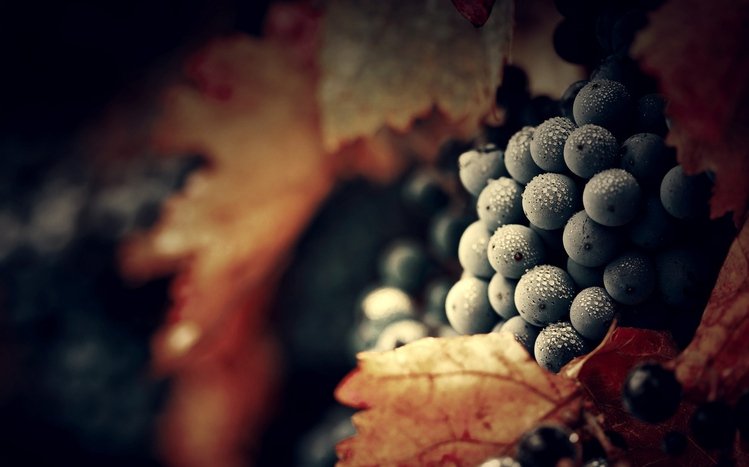 Grapes Theme screenshot #2