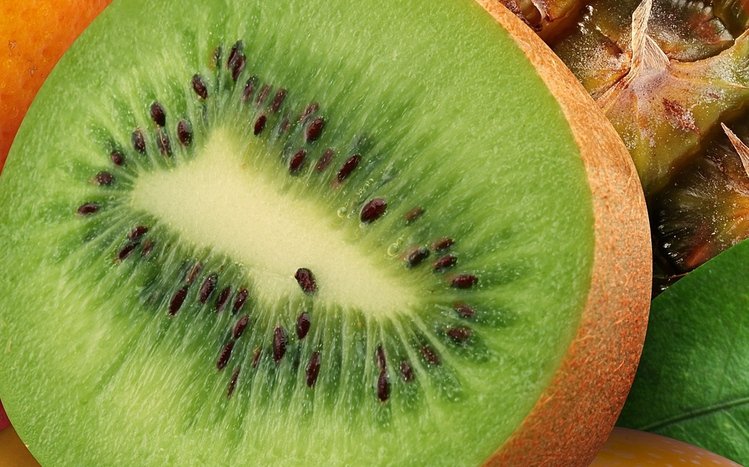 Kiwi Theme screenshot #3