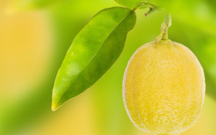 Lemon Theme screenshot #2