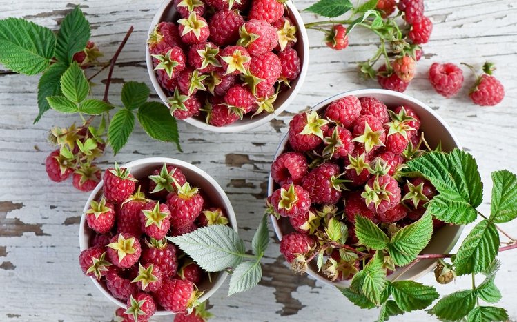 Raspberry Theme screenshot #7