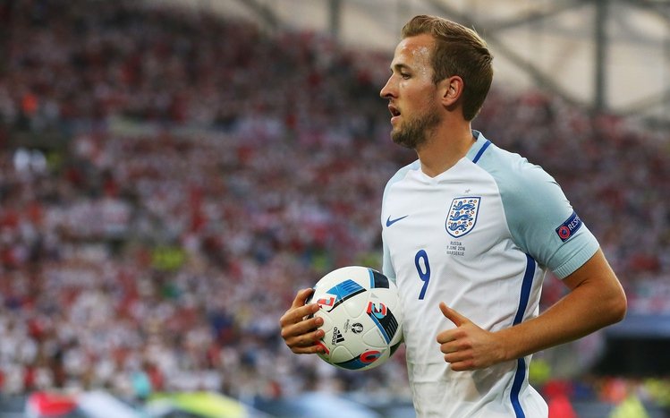 Harry Kane Theme screenshot #4