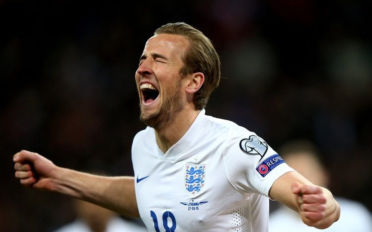 Harry Kane Theme screenshot #15