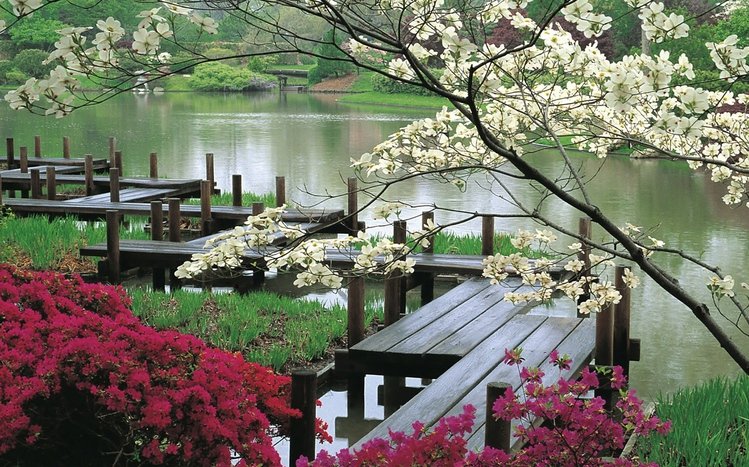 Blossom Theme screenshot #5