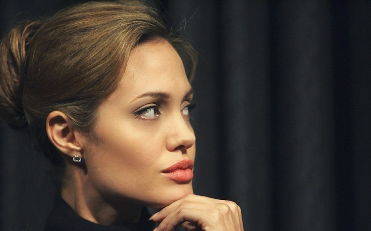 Angelina Jolie Theme screenshot #8