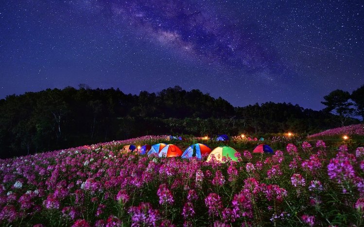 Camping Theme screenshot #7