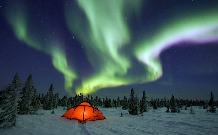 Camping Theme screenshot #9