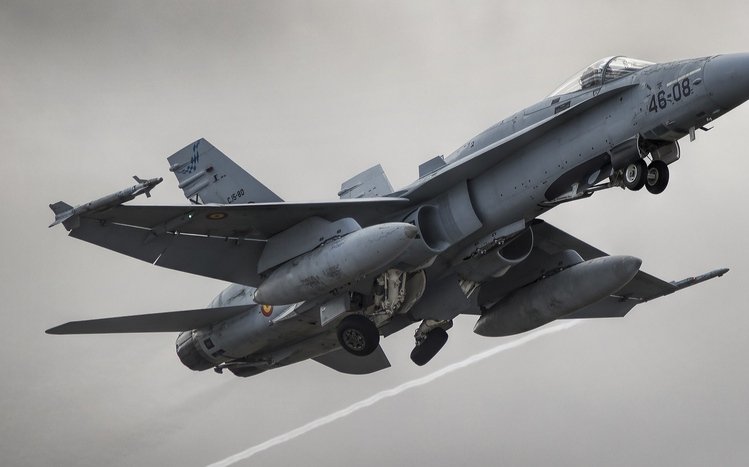 McDonnell Douglas F/A-18 Hornet Theme screenshot #9