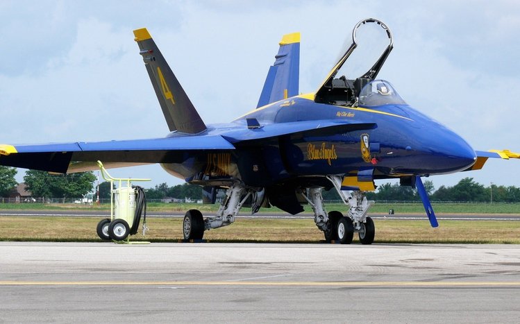 McDonnell Douglas F/A-18 Hornet Theme screenshot #15