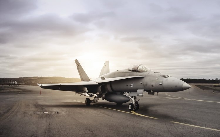 McDonnell Douglas F/A-18 Hornet Theme screenshot #12