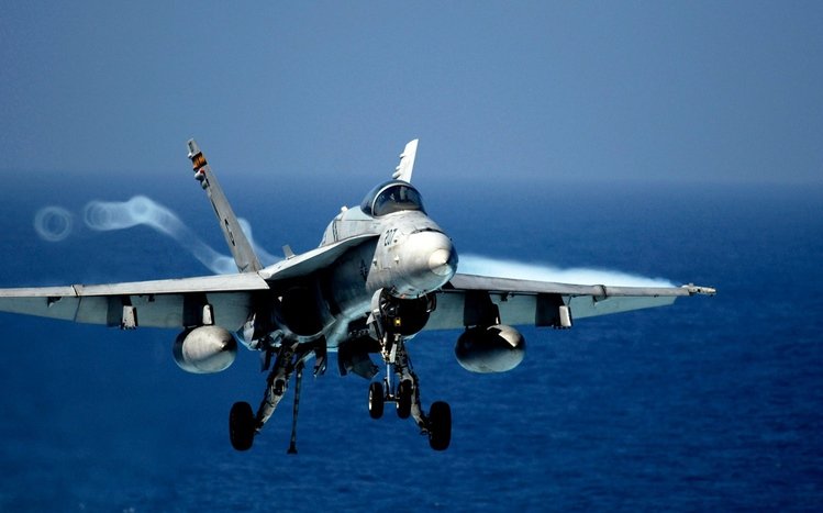 McDonnell Douglas F/A-18 Hornet Theme screenshot #5