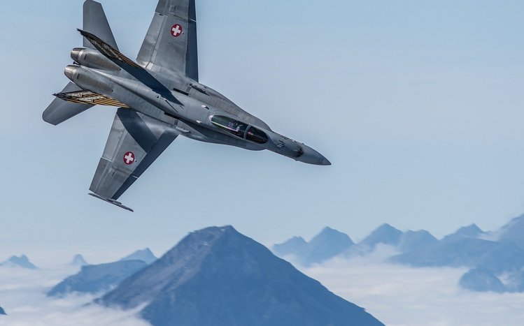 McDonnell Douglas F/A-18 Hornet Theme screenshot #11