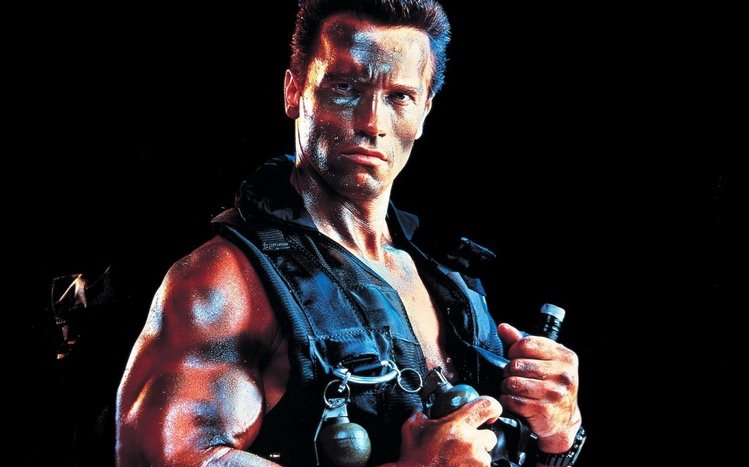 Arnold Schwarzenegger Theme screenshot #10