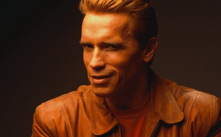 Arnold Schwarzenegger Theme screenshot #13