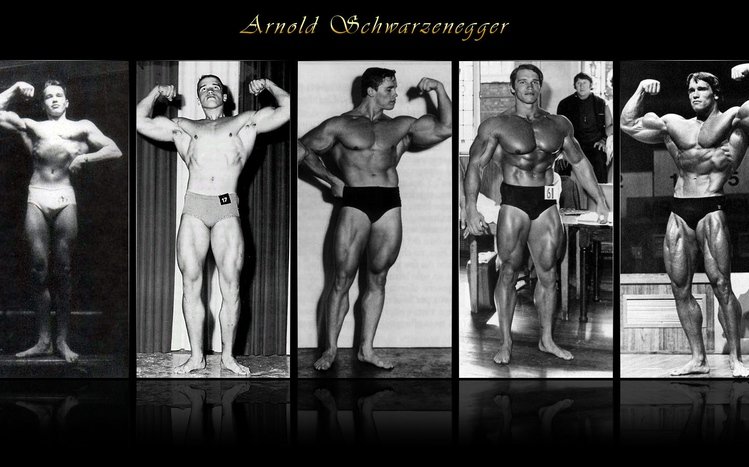 Arnold Schwarzenegger Theme screenshot #14