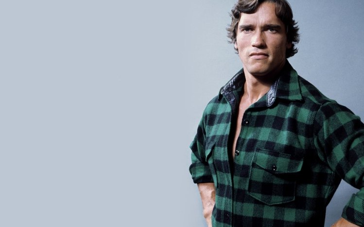 Arnold Schwarzenegger Theme screenshot #16