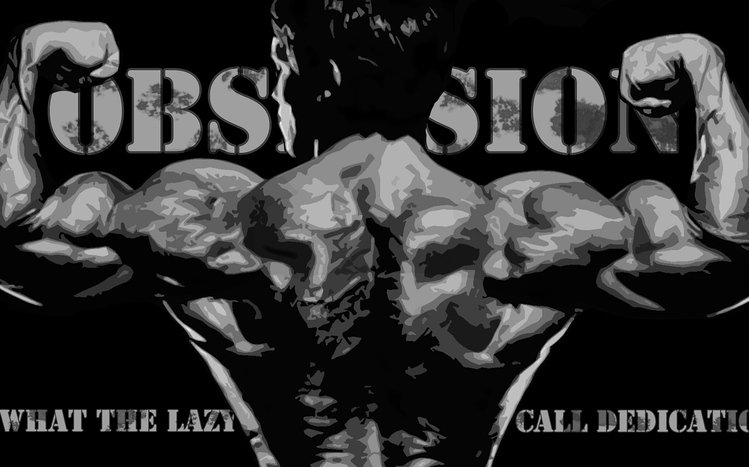 Arnold Schwarzenegger Theme screenshot #19