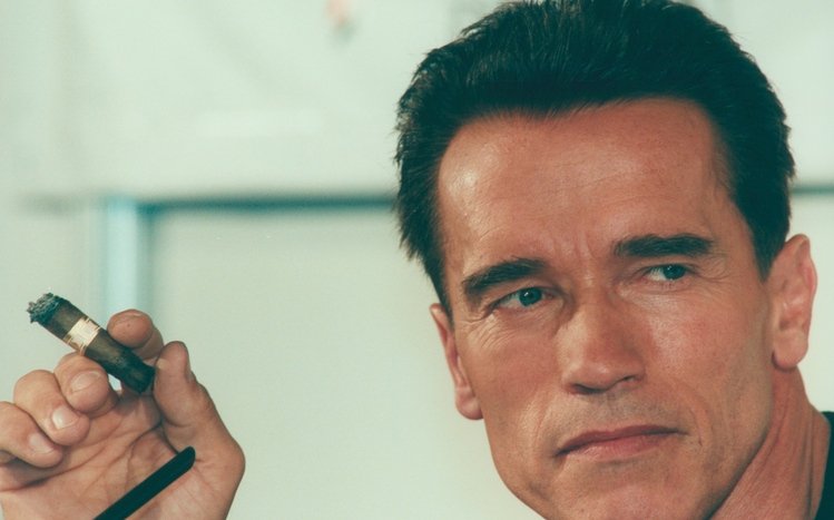 Arnold Schwarzenegger Theme screenshot #4