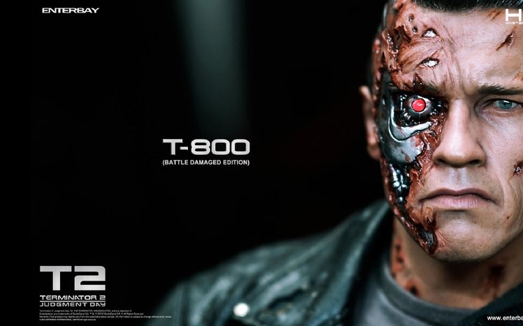 Arnold Schwarzenegger Theme screenshot #5