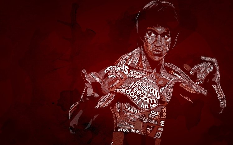 Bruce Lee Theme screenshot #11